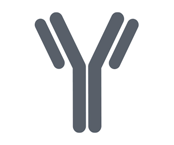 E! 10865 - LeukeMab